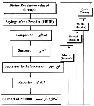 Chain of Hadith ~ Recorded words and deeds of the Prophet Mohammad SAW newmuslimessentials.com
